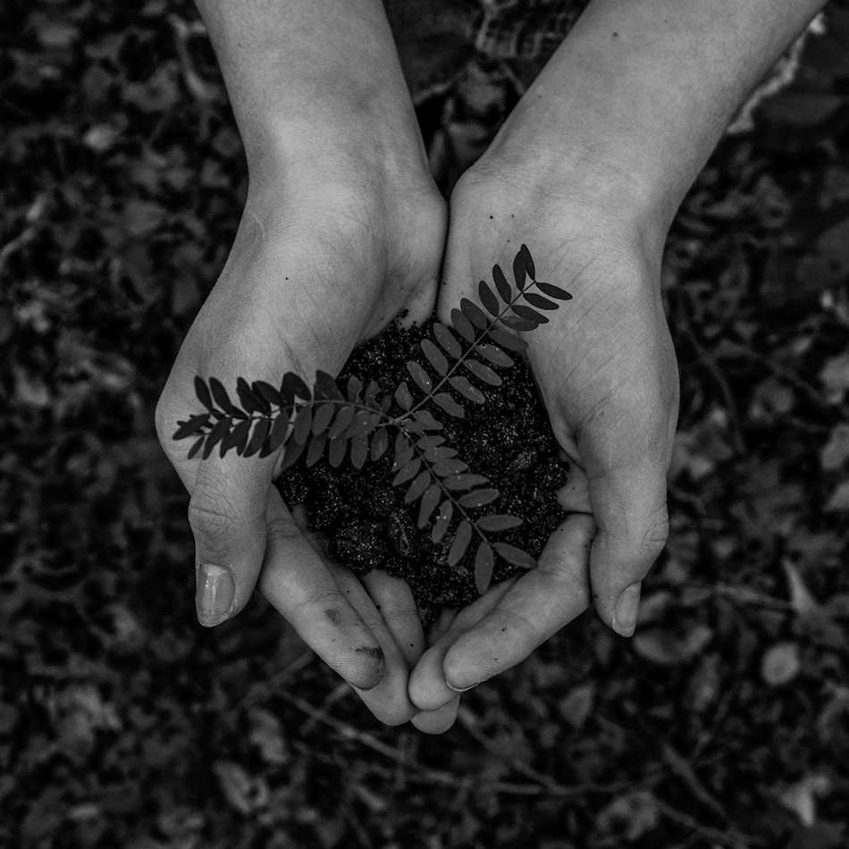 a person holding a pile of black soil